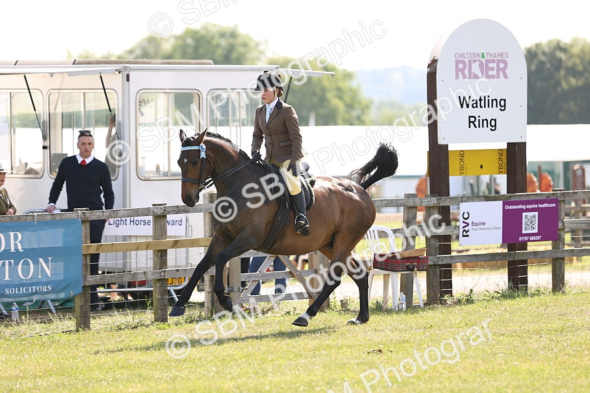 SBM_12914 - Class 75-76 LIHS BSHA Rising Star Hack Riding Horse