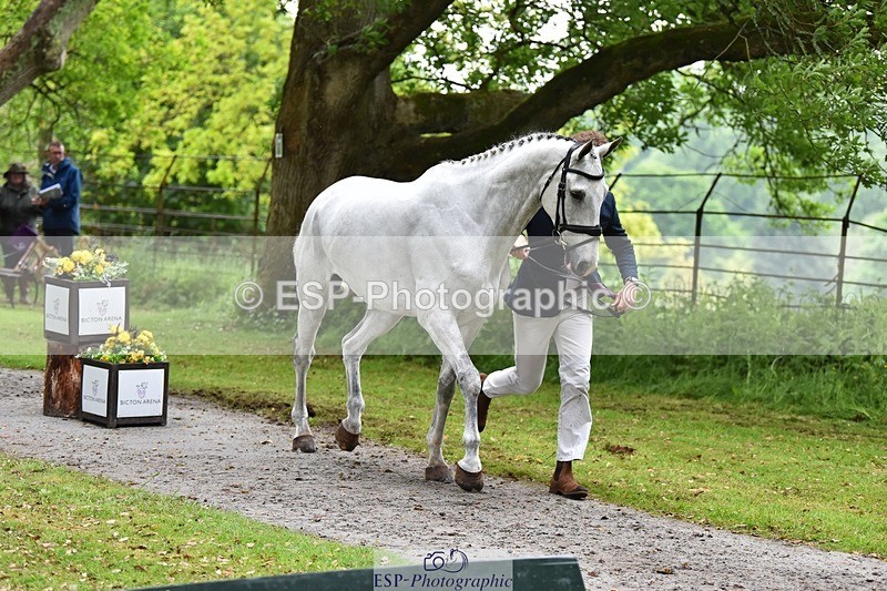 240522-165808-01289 - 230-MISTY_LIBERTY_LANE-Jesse_Campbell