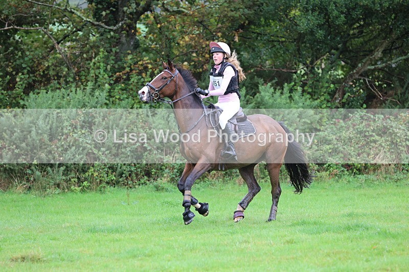 JPP_5380 - Class 4: 80cm: Crossed Logs