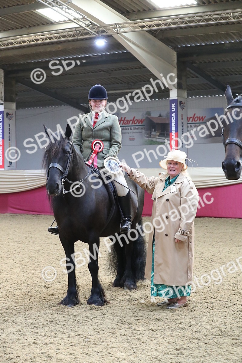 SBM_10444 - Class 102 Equitation (best rider) Adult
