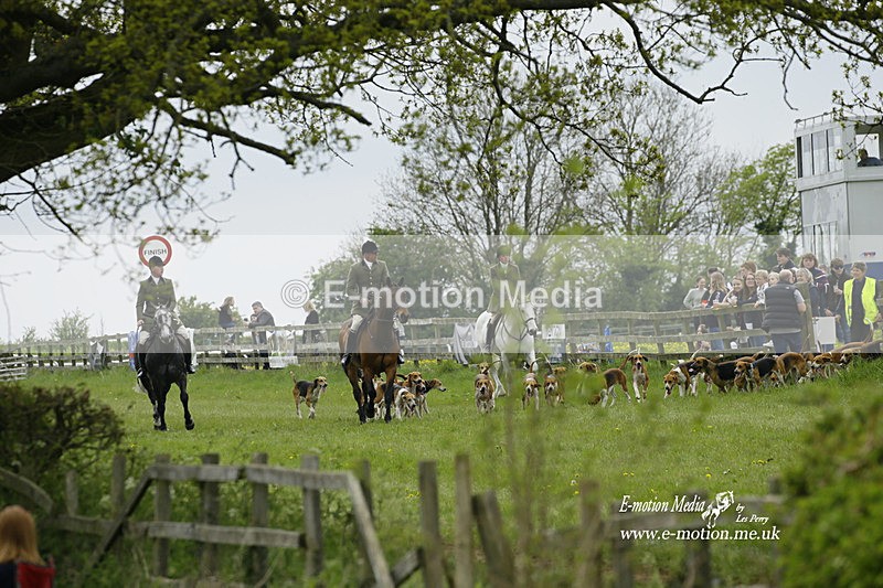 PtP 020522 244 - Mollington Races Point-to-Point 02/05/22