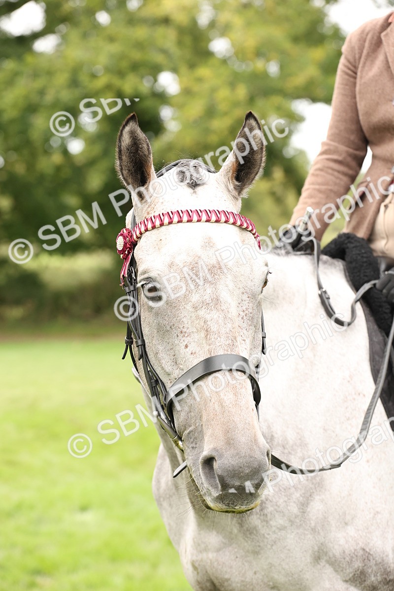 SBM_64313 - S65 - Riding Horse & Hack & Thoroughbred Ridden