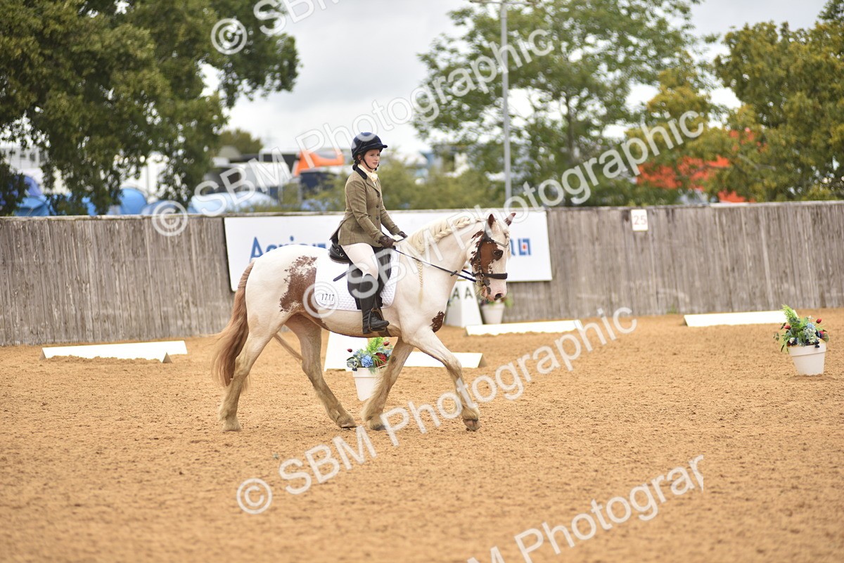 SBM_42343 - D22 - Junior Championship Intro 3