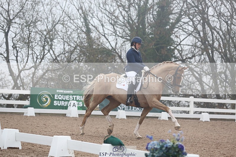 240217A-123254-02899 - 274-Clare.Smith-Dori.Dragon.Fly