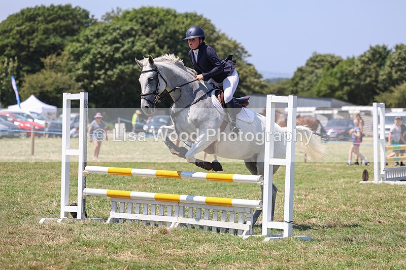 3E7A4383 - Class 10: Senior British Novice/90cm open