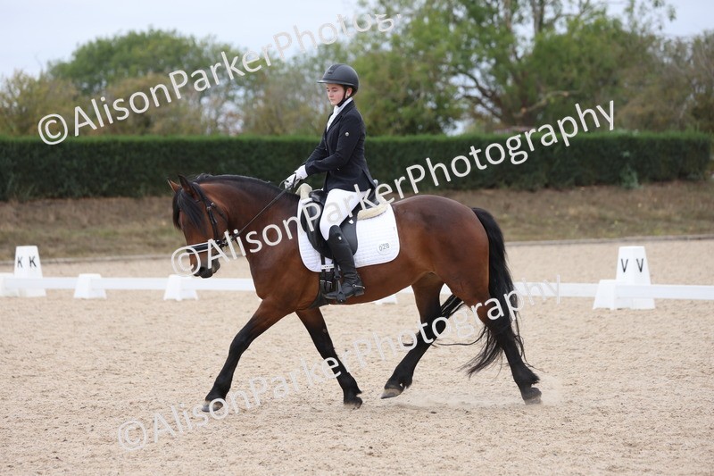 20250820-1223 - Class 18 - Elementary 5