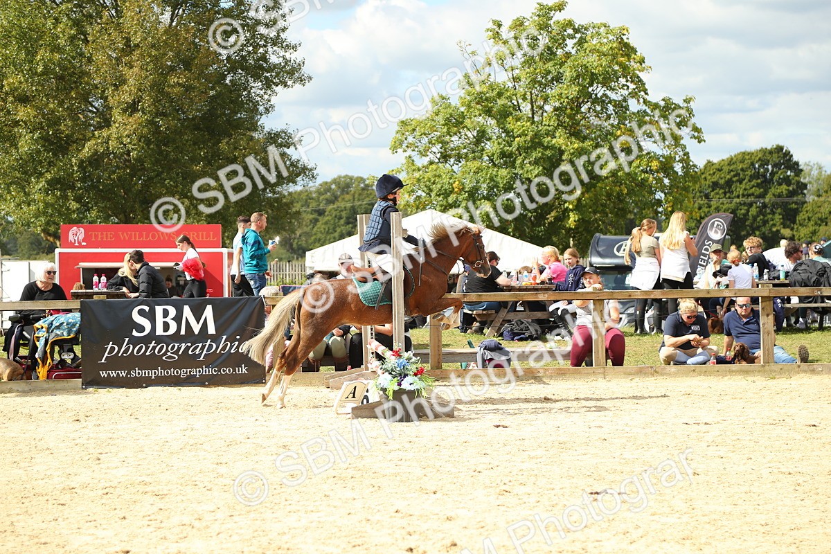 SBM_41377 - J6 - Junior Pony 55cm Championships