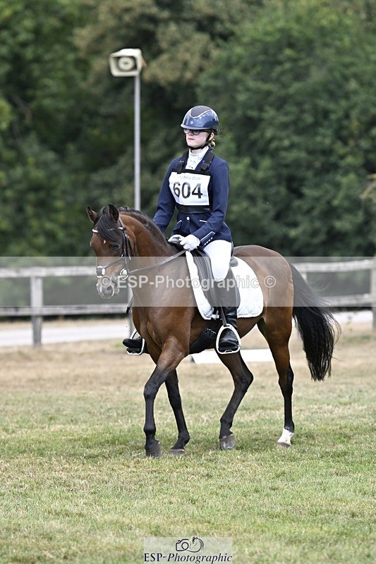 250822A-113935-22321 - DR 11.00 to 12.00