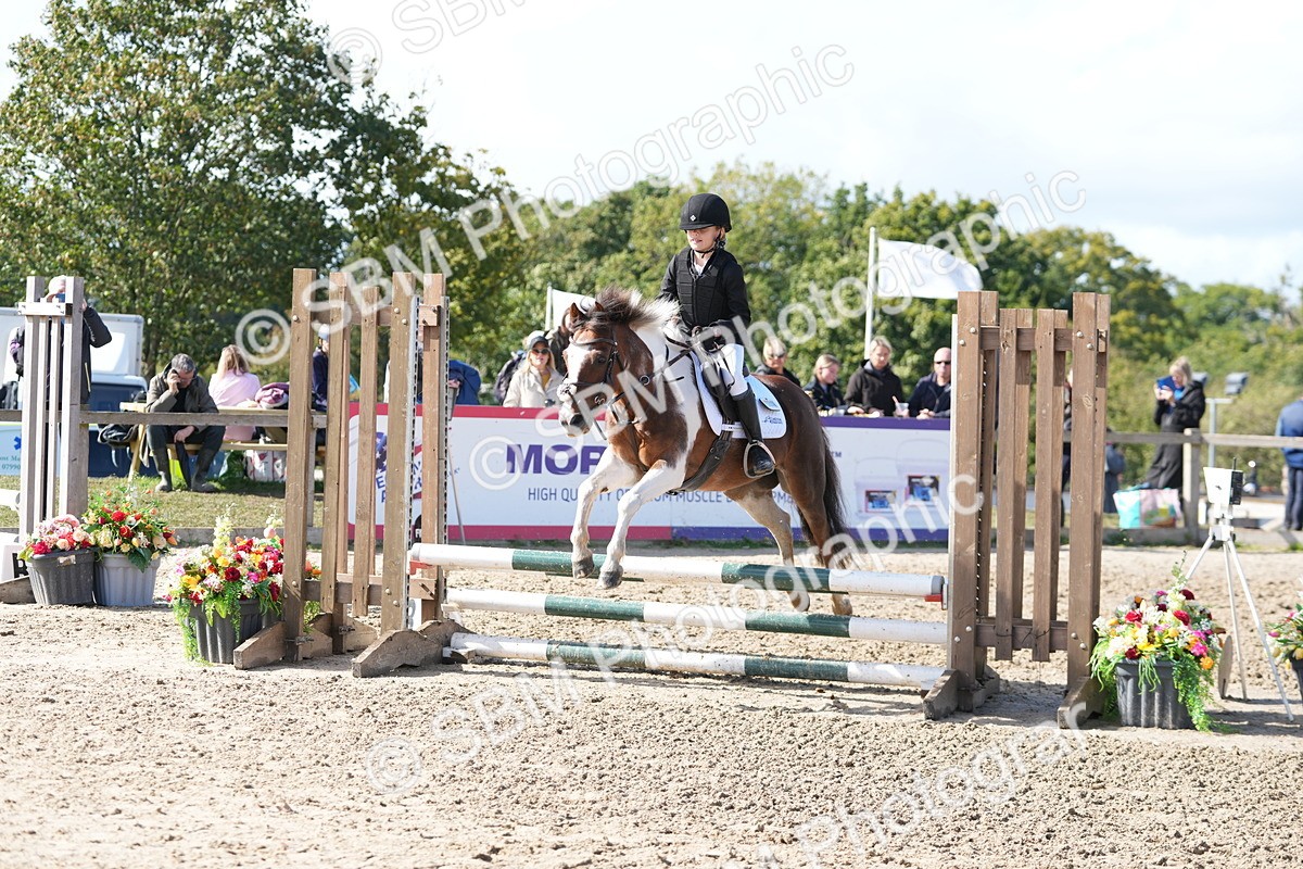 SBM_46575 - J7 - Junior Pony 60cm Championship