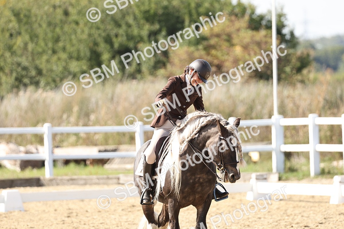 SBM_015290 - Class 9 - Advanced medium 3
