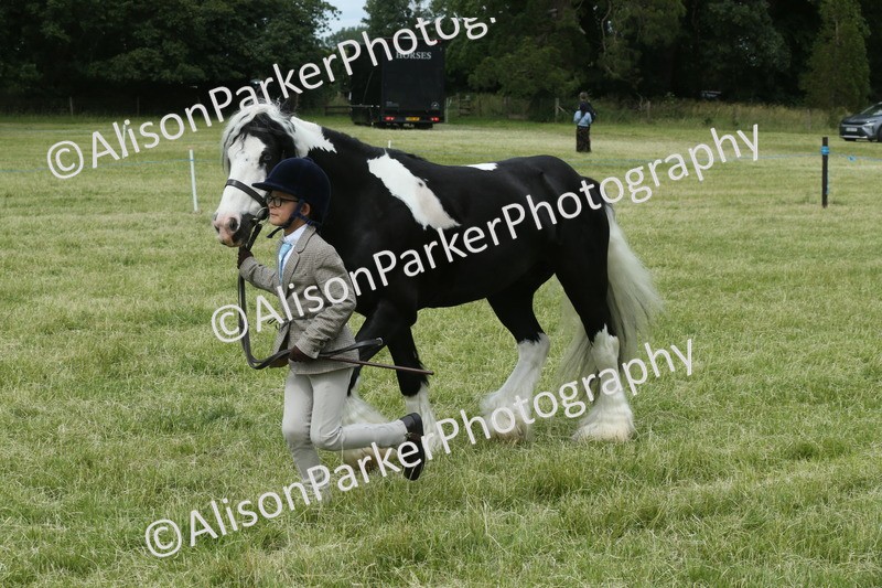 20260614-4280 - Class 18 - Best Junior Handler