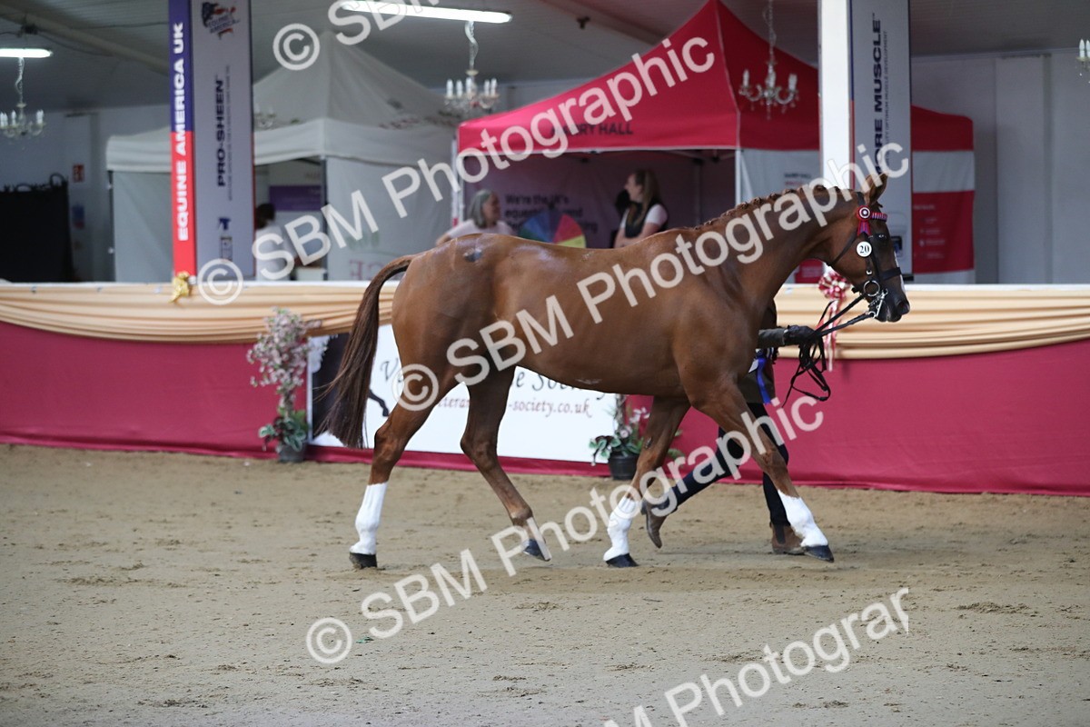 SBM_00594 - class 2a Area IH Veteran