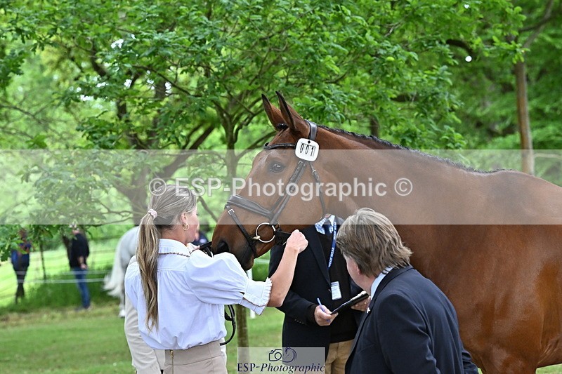 250521A-142758-00013 - A-001-Jemima.Howden-HEADS.UP