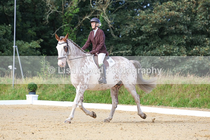 3E7A2361 - Class 1: Intro 4 2024 section A