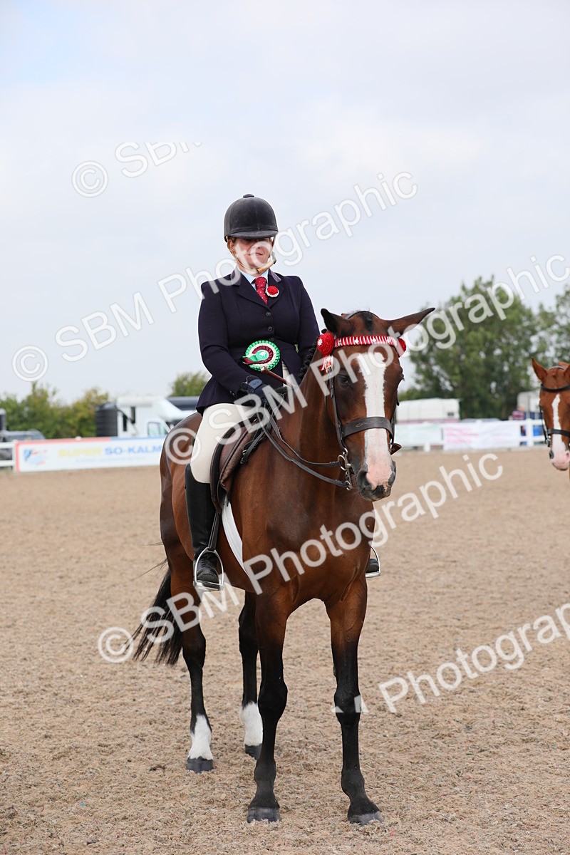 SBM_11488 - Class 305 Ridden Foreign Breeds- Pure Bred