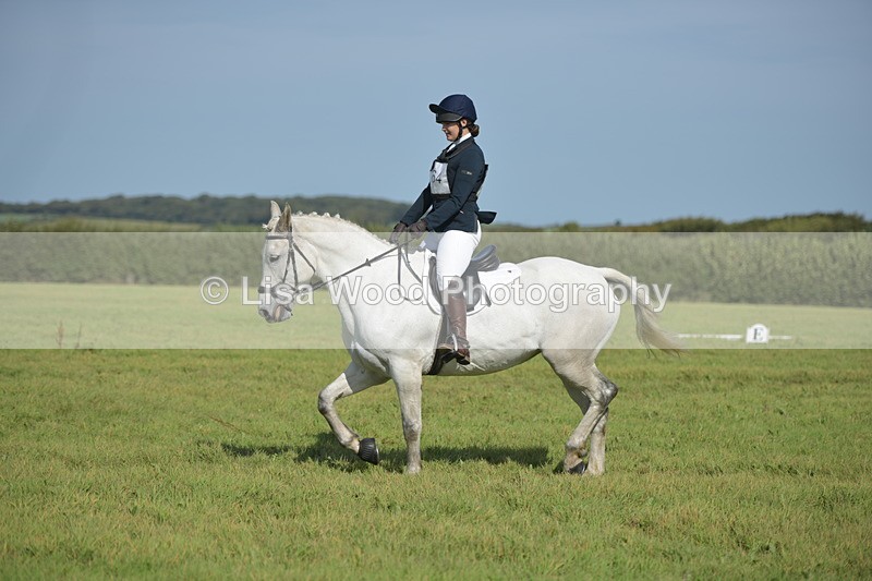 RAY_8088 - Class 2B: Trekenning Open: Dressage