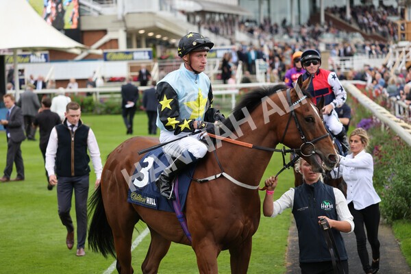 yr24092021r3-16 - Race 3 2.40pm WilliamHill.com Best Odds Guaranteed Stakes