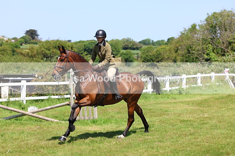 3E7A7293 - Class 30: Novice Working Hunter