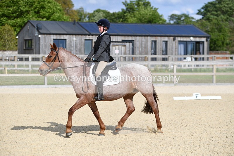 WJ5_7962 - Time 16:56 to 17:14