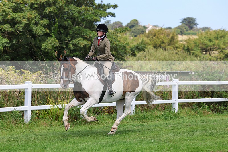 3E7A8698 - Class 5: Working Show Horse