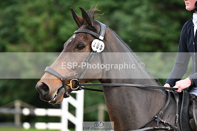 241025-121608-07510 - 205-Alderney.Street-KYTANO