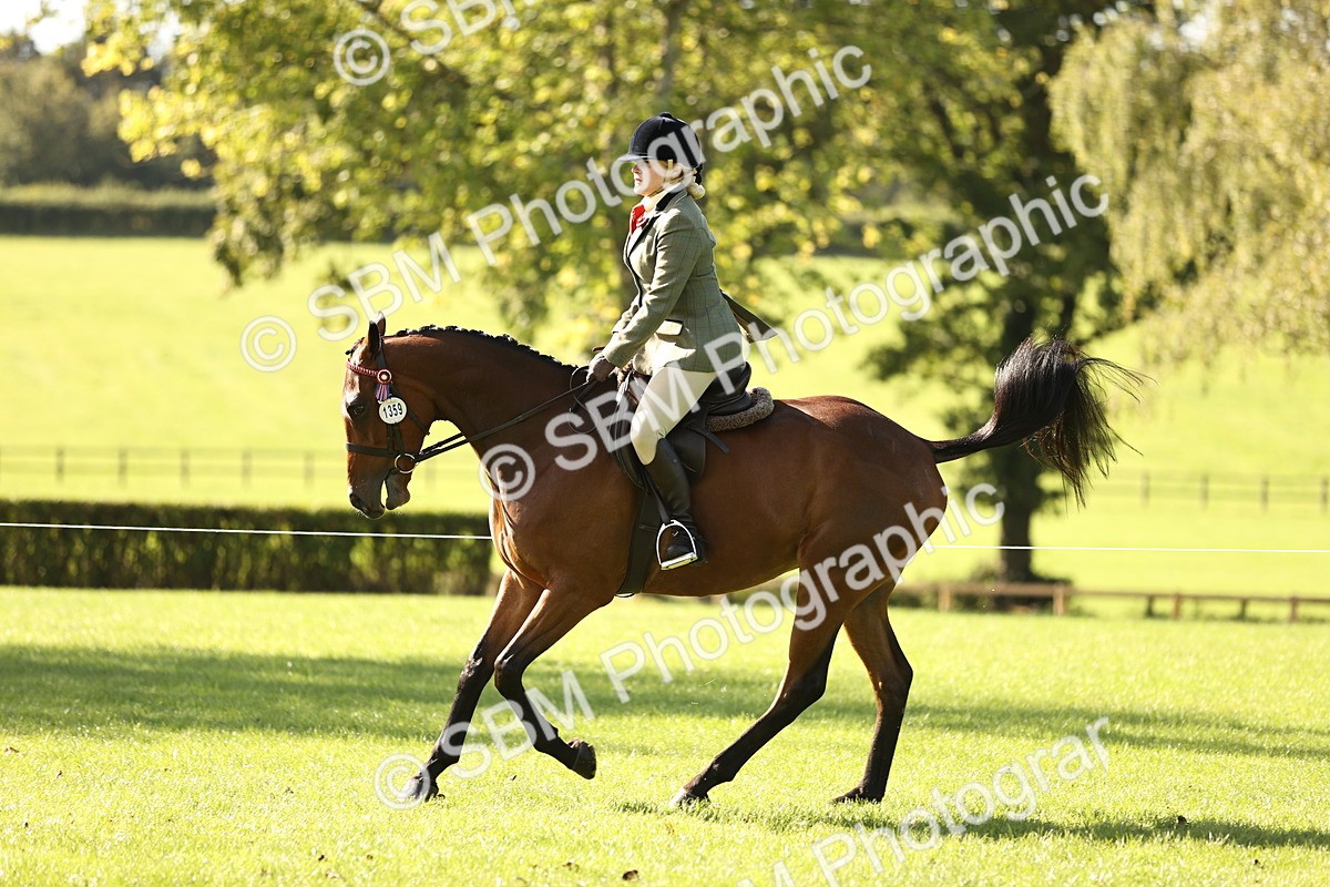 SBM_16965 - S2 - TSR Ridden Pony Showing