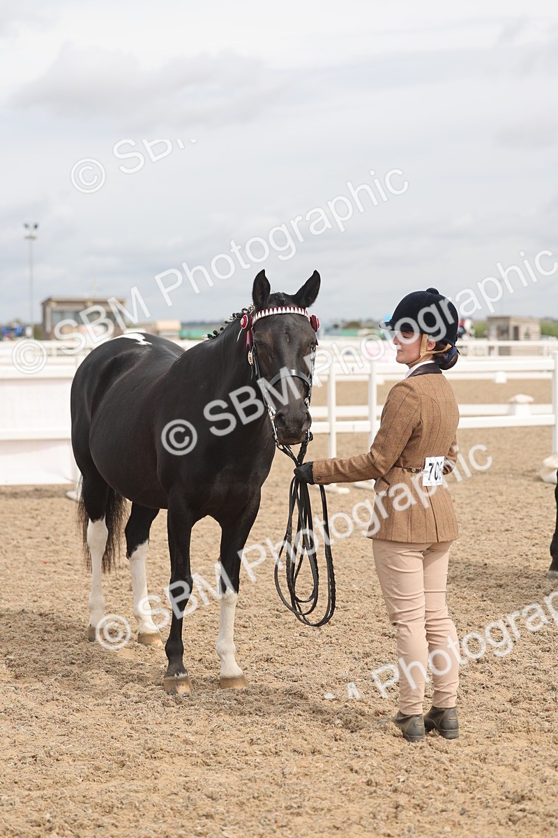 SBM_05017 - Class 20 - IH Veteran