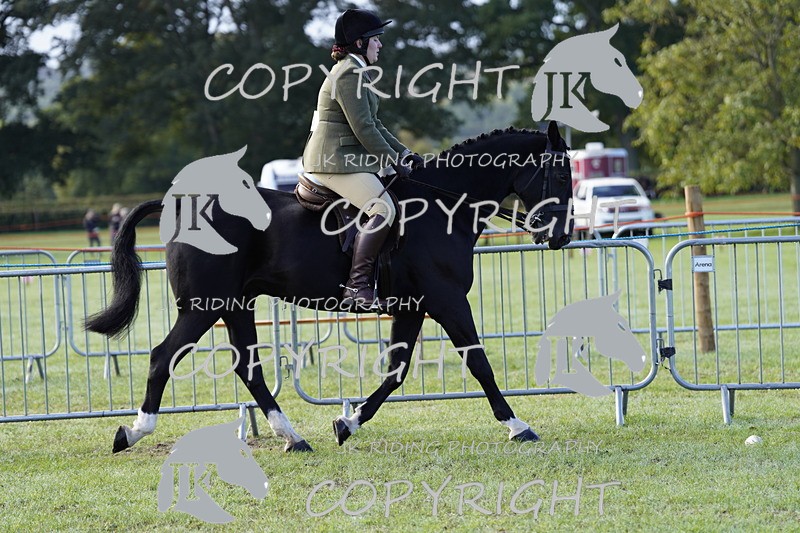 _DSC9314 - Class 8 & 17 Ridden Hunter & Ridden Hunter Pony