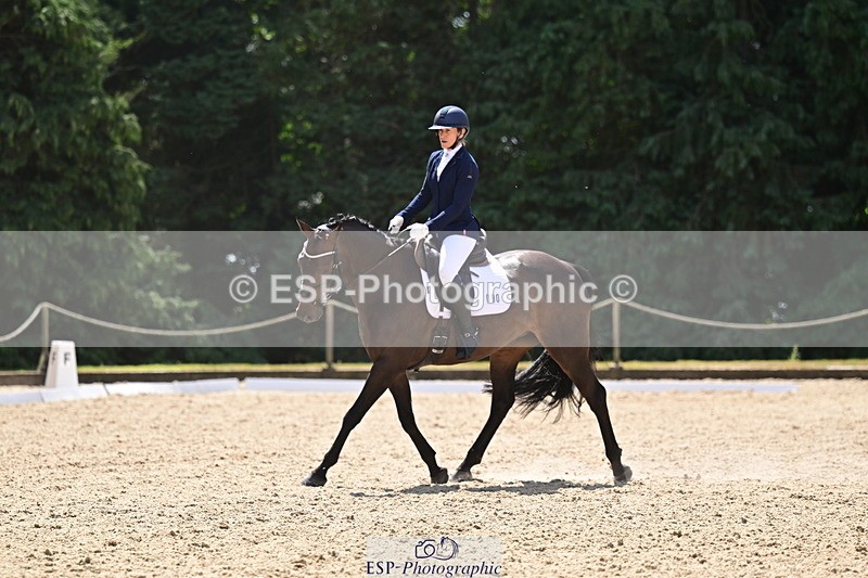 260731A-125138-00717 - Elementary Bronze Break- End