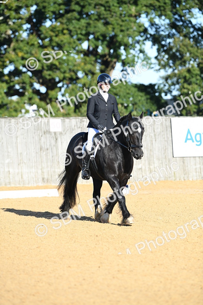 SBM_14490 - D4 - Small Tour Championship - Intro B