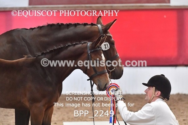 BPP_2249 - AFTERNOON 12.30 - 3.30PM