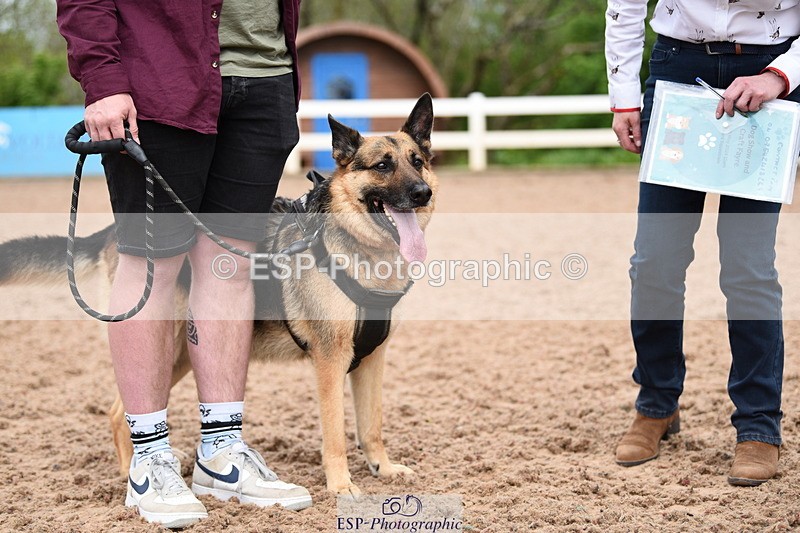 240518A-121018-01111 - Cls 3 Handsomest Dog