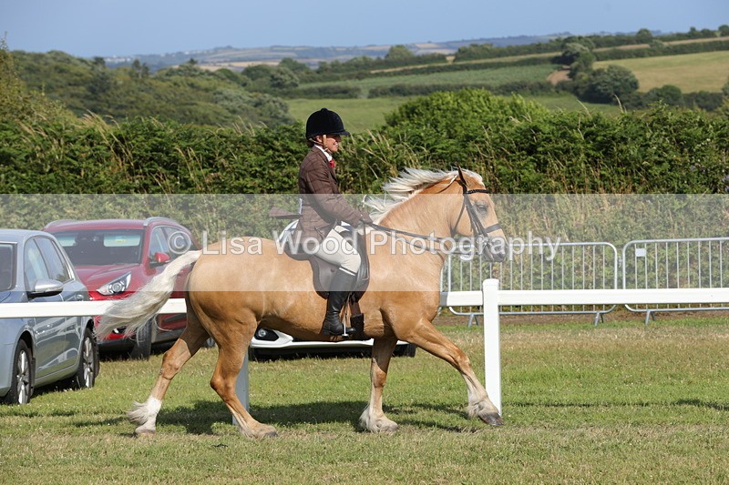 1X9A6029 - Class 43: NPS Welsh C & D