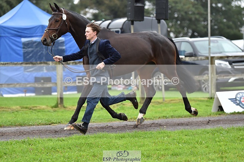 231018-122220-00241 - 031-ARIELLA-Morgan.Wyatt-TrotUp