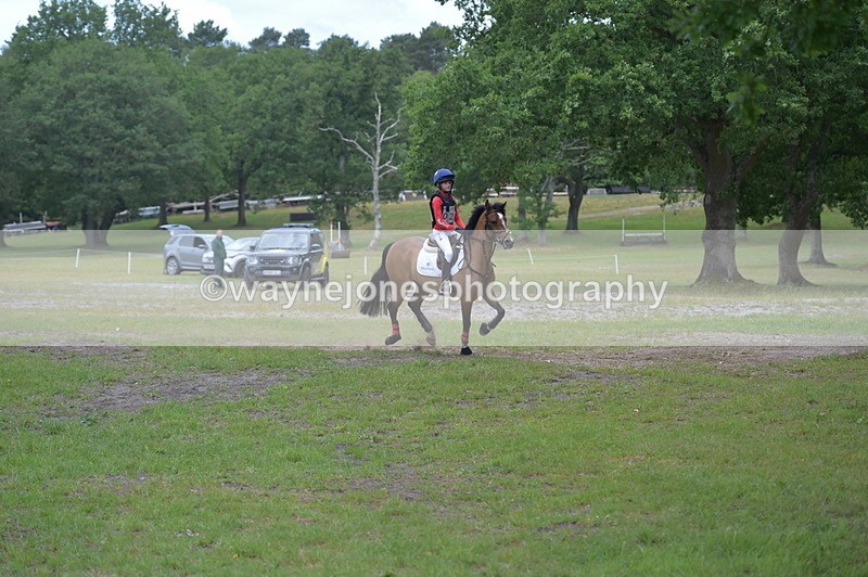 NGP_6557 - Time 10:28 to 10:48