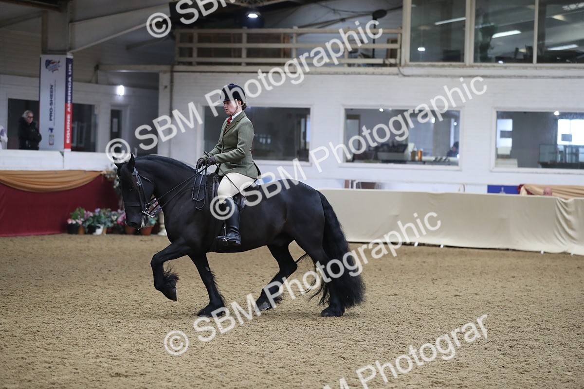 SBM_10416 - Class 102 Equitation (best rider) Adult