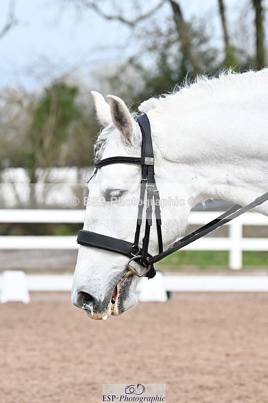 240218A-131200-07581 - 120-PAULA.LEE-Deseado.Santo