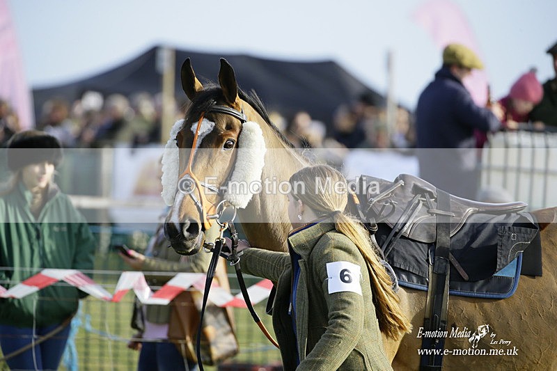 PtP 300122 293 - South Dorset Hunt - Point-to-Point Races 30/01/2022