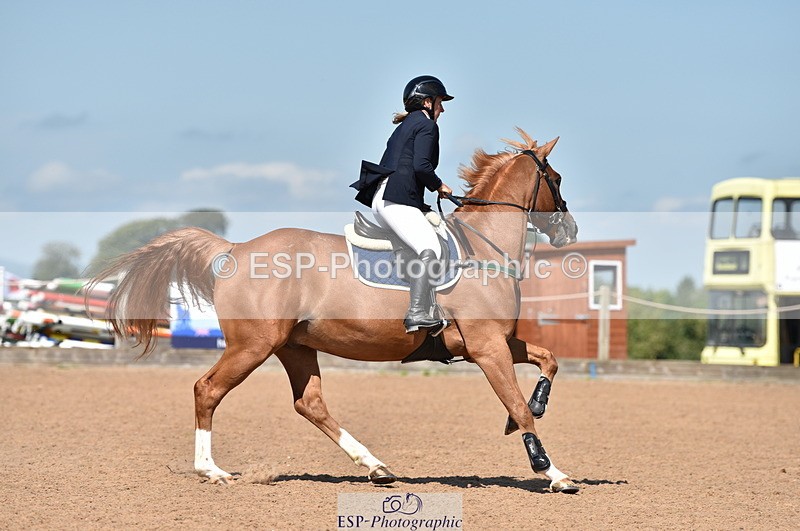 230810A-112910-00882 - Cls 9 Foxhunter