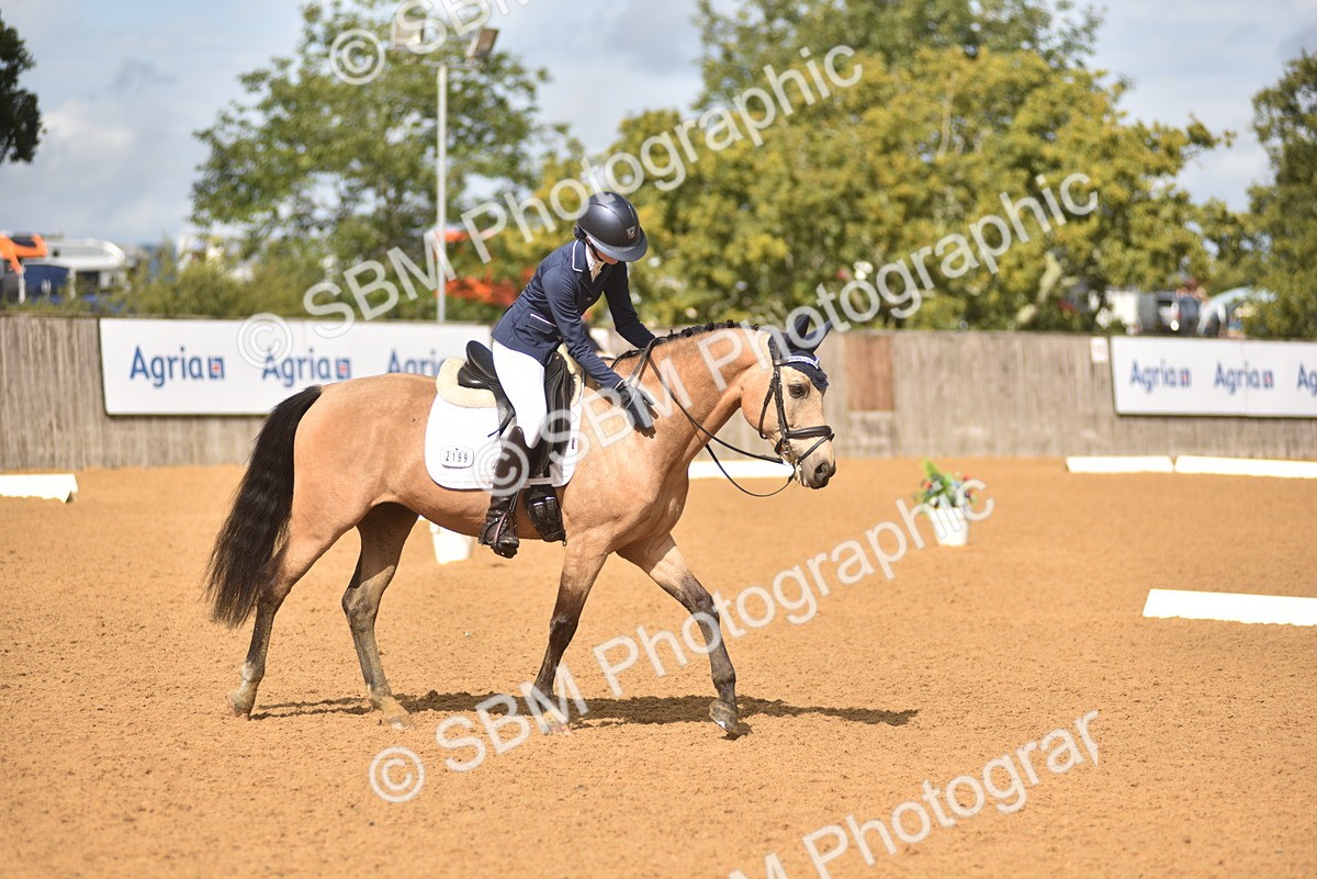 SBM_42314 - D22 - Junior Championship Intro 3
