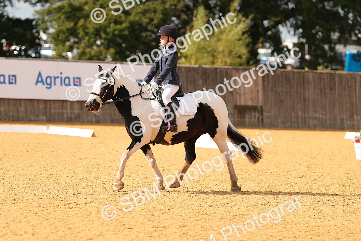 SBM_48292 - D22 - Junior Championship - Intro B