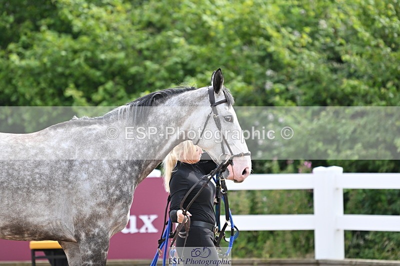 240717A-164251-03492 - Trot Up 4pm to 5pm