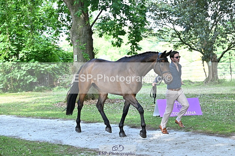 250521A-153431-00600 - B-317-Rupert.Batting-COOMBELAND.TALISMAN