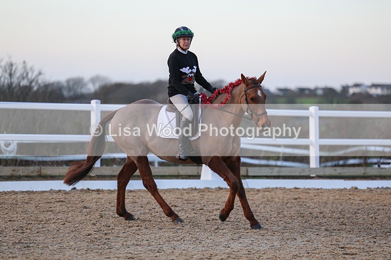 3E7A5108 - Class 5: Novice