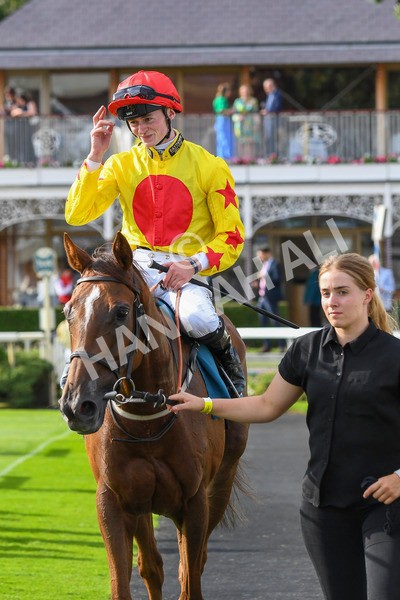 280723-Race 2-Quest For Fun-0232 - Race 2 5.30pm eventmasters.co.uk Handicap