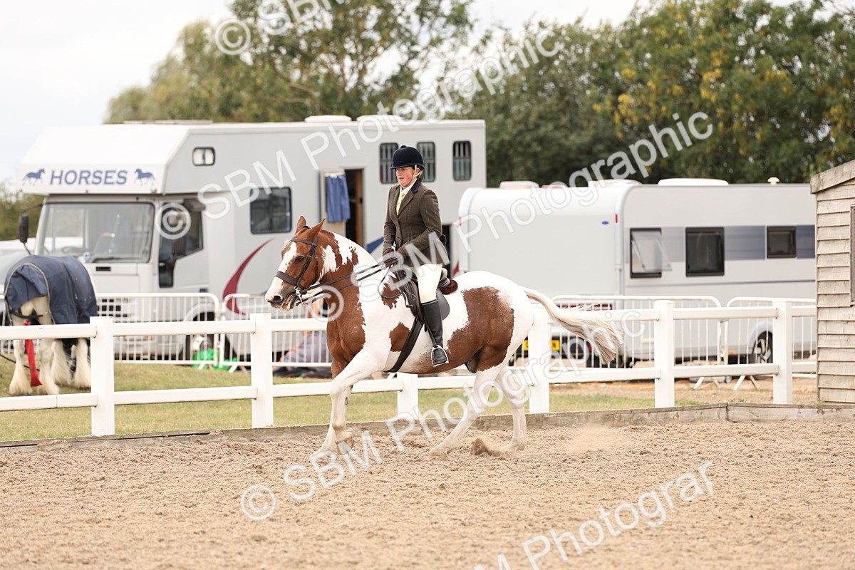 SBM_19571 - Class 215 - Ridden Show cob