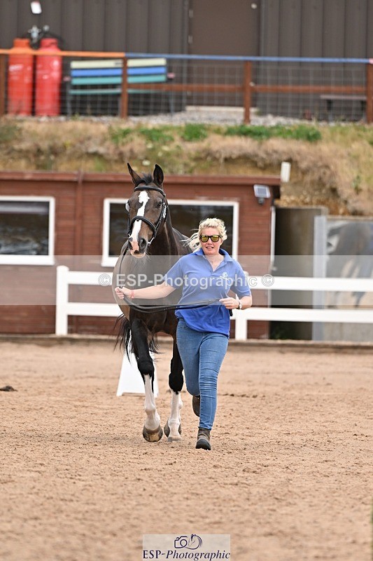 250716-155757-02297 - Trot Up 3.30 to 4.30