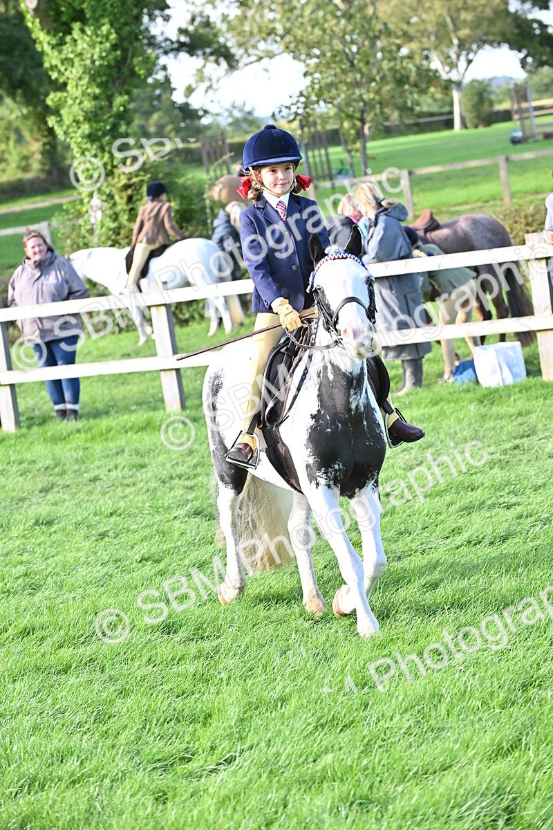 SBM_51227 - S22 - First Ridden show and show Hunter Pony