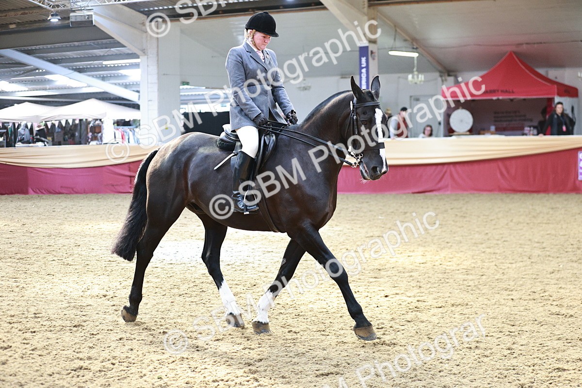 SBM_08308 - Class 11R - Regional Ridden Veteran