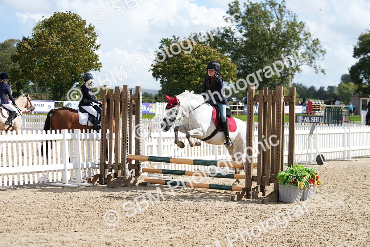 SBM_46995 - J7 - Junior Pony 60cm Championship